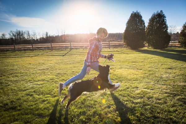Les accessoire pour chien essentiels pour une vie heureuse